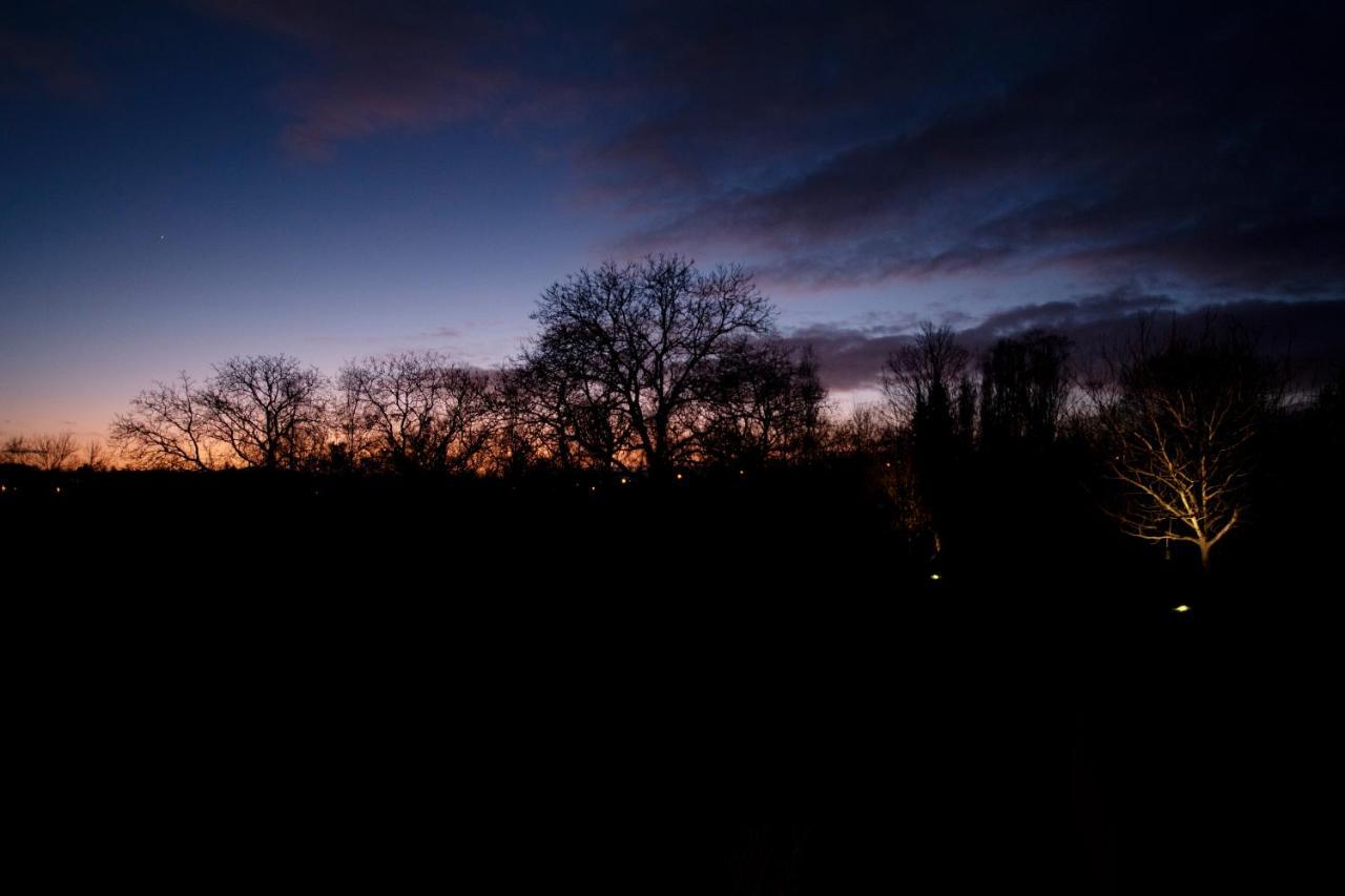 Nuit Blanche Oud-Heverlee Exterior foto